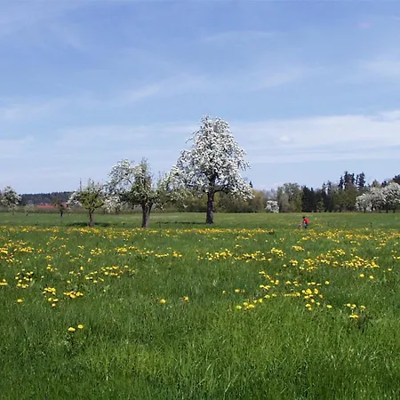 Baumanns Am * Bettnau